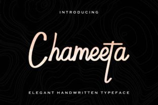Chameeta: A Timeless Script Font for Handmade Creations