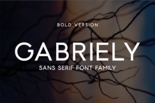 Gabriely Bold: A Modern Sans Serif for Craft Creations