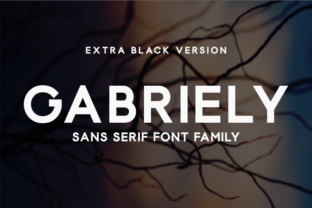 Gabriely Extra Black for Professional Branding
