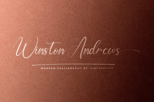 How Winston Andrews Elevated My Brand's Visual Identity
