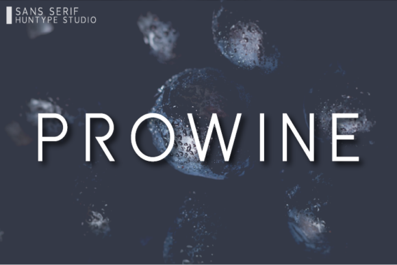 Prowine Font for Modern Web Design