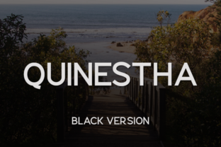 Quinestha Black for Modern Web Design